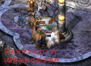 �ֵܿ�����ô��5V5������ʤ����ȫ����