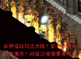 �����ս�귨��½�����ֿ���������������Щ���ʶ�ɳ����Ҫ��Щ���ɣ�