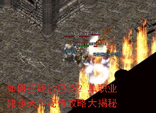 �����սɳ�Ϳˣ���ְҵ���������ش����Դ����