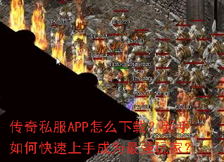 ����˽��APP��ô���أ�������ο������ֳ�Ϊ��ǿ��ң�