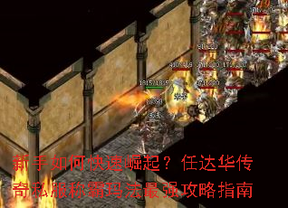 新手如何快速崛起?任达华传奇私服称霸玛法最强攻略指南 新手如何快速崛起?任达华传奇私服称霸玛法最强攻略指南