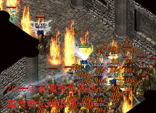2026������Щ�����Ѫ����˽��ֵ��һ�棿