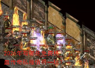 2026������Щ�����Ѫ����˽��ֵ��һ�棿