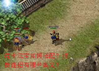 ��ʿ������δ��䣿������������Щ���壿