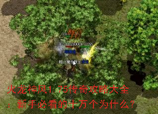 火龙神风1.75传奇攻略大全:新手必看的十万个为什么? 火龙神风1.75传奇攻略大全:新手必看的十万个为什么?