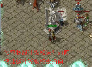 传奇私服冲级秘诀?如何快速飙升等级终极指南 传奇私服冲级秘诀?如何快速飙升等级终极指南