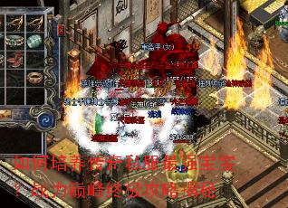 如何培养传奇私服最强宝宝?战力巅峰终极攻略揭秘 如何培养传奇私服最强宝宝?战力巅峰终极攻略揭秘
