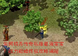 如何培养传奇私服最强宝宝?战力巅峰终极攻略揭秘 如何培养传奇私服最强宝宝?战力巅峰终极攻略揭秘