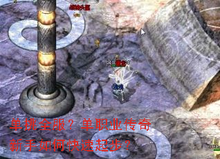 单挑全服?单职业传奇新手如何快速起步? 单挑全服?单职业传奇新手如何快速起步?