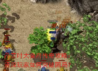 丹芷叶大金府传奇攻略:资深玩家如何突破困局? 丹芷叶大金府传奇攻略:资深玩家如何突破困局?