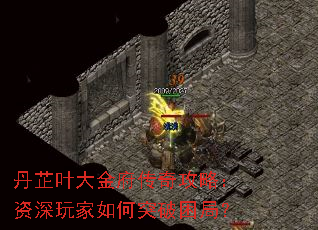 丹芷叶大金府传奇攻略:资深玩家如何突破困局? 丹芷叶大金府传奇攻略:资深玩家如何突破困局?