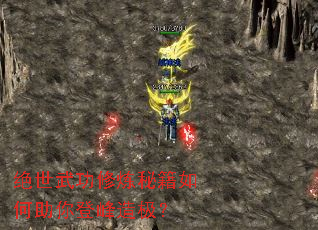 �����书�����ؼ��������Ƿ��켫��