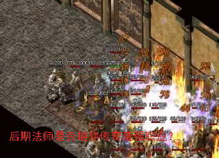 ���ڷ�ʦ�Ƿ񿰳ƴ�����ǿְҵ��