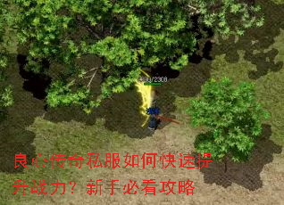 良心传奇私服如何快速提升战力?新手必看攻略 良心传奇私服如何快速提升战力?新手必看攻略