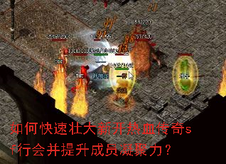 如何快速壮大新开热血传奇sf行会并提升成员凝聚力? 如何快速壮大新开热血传奇sf行会并提升成员凝聚力?