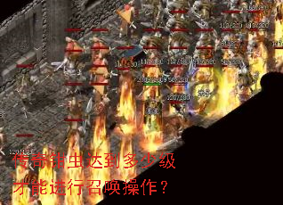 传奇钳虫达到多少级才能进行召唤操作? 传奇钳虫达到多少级才能进行召唤操作?