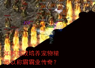 如何高效培养宠物精灵以称霸霸业传奇? 如何高效培养宠物精灵以称霸霸业传奇?