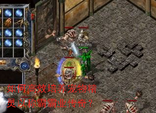 如何高效培养宠物精灵以称霸霸业传奇? 如何高效培养宠物精灵以称霸霸业传奇?