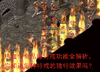 热血传奇私服特戒功能全解析,你知道每种特戒的独特效果吗? 热血传奇私服特戒功能全解析,你知道每种特戒的独特效果吗?