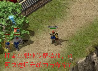 打金单职业传奇私服,如何快速提升战力与爆率? 打金单职业传奇私服,如何快速提升战力与爆率?