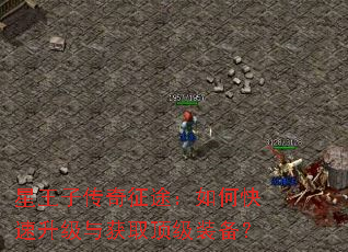 星王子传奇征途:如何快速升级与获取顶级装备? 星王子传奇征途:如何快速升级与获取顶级装备?
