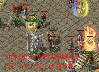 如何通过超级种鸽眼瞳辨识极品飞宠?新手必看攻略 如何通过超级种鸽眼瞳辨识极品飞宠?新手必看攻略