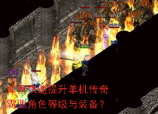 如何快速提升单机传奇霸业角色等级与装备? 如何快速提升单机传奇霸业角色等级与装备?