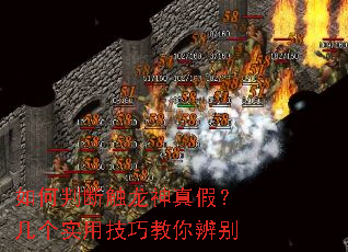 如何判断触龙神真假?几个实用技巧教你辨别 如何判断触龙神真假?几个实用技巧教你辨别