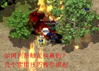 如何判断触龙神真假?几个实用技巧教你辨别 如何判断触龙神真假?几个实用技巧教你辨别