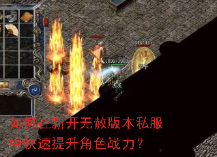 如何在新开无赦版本私服中快速提升角色战力? 如何在新开无赦版本私服中快速提升角色战力?