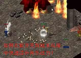 如何在新开无赦版本私服中快速提升角色战力? 如何在新开无赦版本私服中快速提升角色战力?