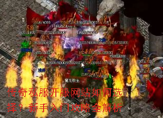 传奇私服开服网站如何选择?新手入门攻略全解析 传奇私服开服网站如何选择?新手入门攻略全解析