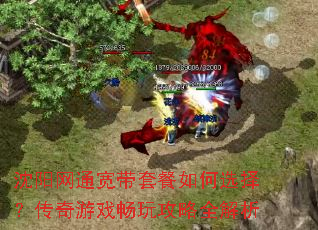 沈阳网通宽带套餐如何选择?传奇游戏畅玩攻略全解析 沈阳网通宽带套餐如何选择?传奇游戏畅玩攻略全解析