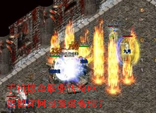 �ֻ��浥ְҵ����PK������������������