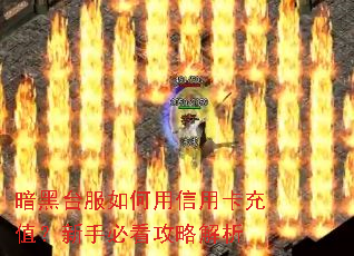 暗黑台服如何用信用卡充值?新手必看攻略解析 暗黑台服如何用信用卡充值?新手必看攻略解析