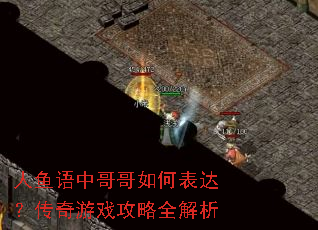 人鱼语中哥哥如何表达?传奇游戏攻略全解析 人鱼语中哥哥如何表达?传奇游戏攻略全解析