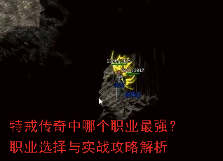 �ؽ䴫�����ĸ�ְҵ��ǿ��ְҵѡ����ʵս���Խ���