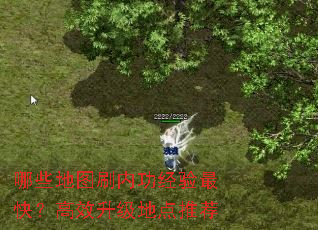 ��Щ��ͼˢ�ڹ�������죿��Ч�����ص��Ƽ�
