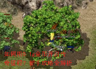 如何用0.1g金币开启传奇征程?新手攻略全解析 如何用0.1g金币开启传奇征程?新手攻略全解析