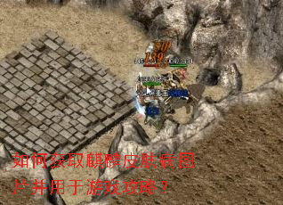 如何获取麒麟皮肤病图片并用于游戏攻略? 如何获取麒麟皮肤病图片并用于游戏攻略?