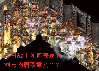 传奇战士如何兼顾收割与肉盾双重角色? 传奇战士如何兼顾收割与肉盾双重角色?