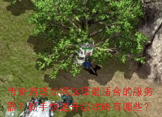 传奇游戏如何选择最适合的服务器?新手快速升级攻略有哪些? 传奇游戏如何选择最适合的服务器?新手快速升级攻略有哪些?