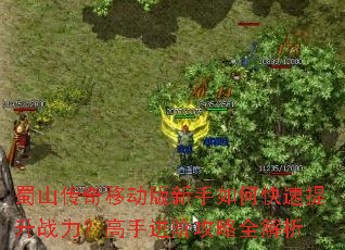蜀山传奇移动版新手如何快速提升战力?高手进阶攻略全解析 蜀山传奇移动版新手如何快速提升战力?高手进阶攻略全解析