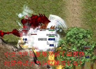 �б䴫��˽������������ο�������ս�����ȡϡ��װ����