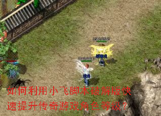 如何利用小飞脚本破解版快速提升传奇游戏角色等级? 如何利用小飞脚本破解版快速提升传奇游戏角色等级?