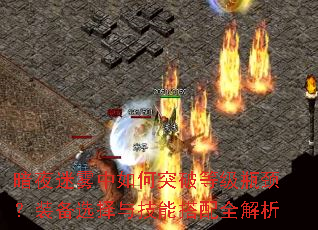 暗夜迷雾中如何突破等级瓶颈?装备选择与技能搭配全解析 暗夜迷雾中如何突破等级瓶颈?装备选择与技能搭配全解析
