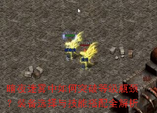 ��ҹ���������ͻ�Ƶȼ�ƿ����װ��ѡ���뼼�ܴ���ȫ����