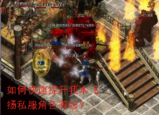 如何快速提升我本飞扬私服角色等级? 如何快速提升我本飞扬私服角色等级?