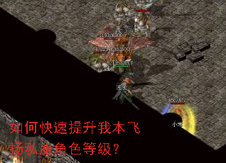 如何快速提升我本飞扬私服角色等级? 如何快速提升我本飞扬私服角色等级?