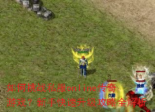如何挑战私服online传奇游戏?新手快速升级攻略全解析 如何挑战私服online传奇游戏?新手快速升级攻略全解析